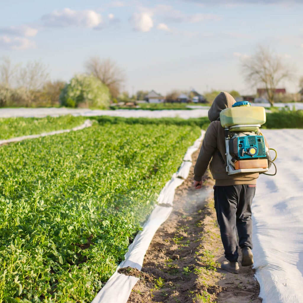 Male Farmer With A Mist Sprayer Processes Potato B A2ZKW8X 1024x1024